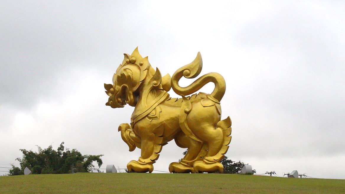Singha park tea plantation : You can have lunch with tea plantation view