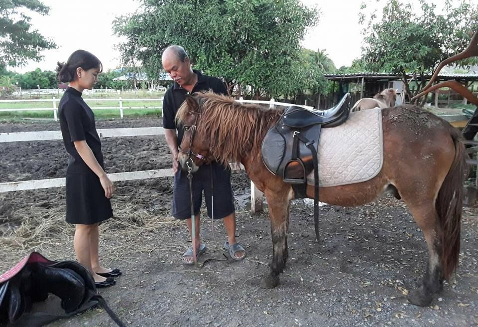 This is at Wanlapa Farmstay