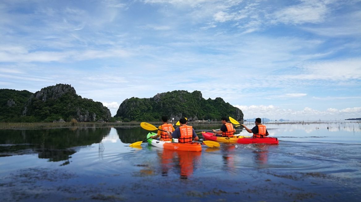 พายเรือชมวิว