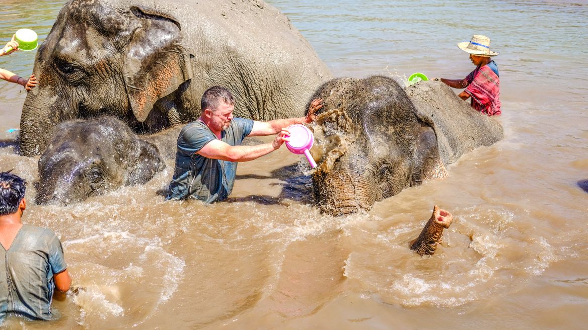 Bathe elephants