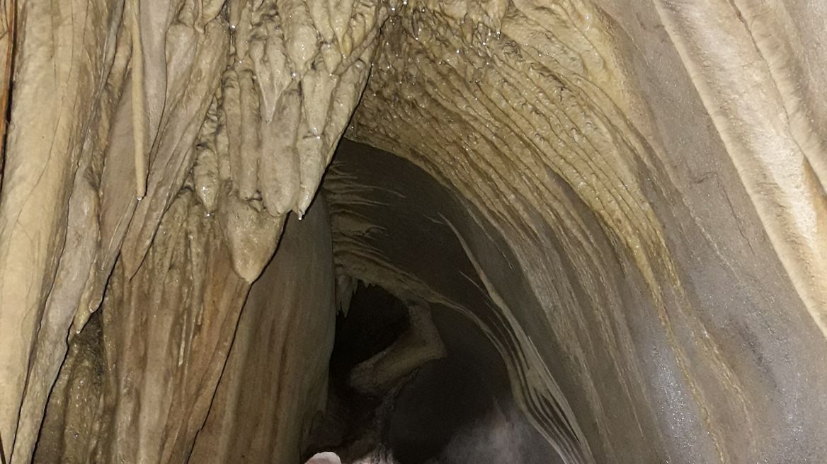 Walk into the cave