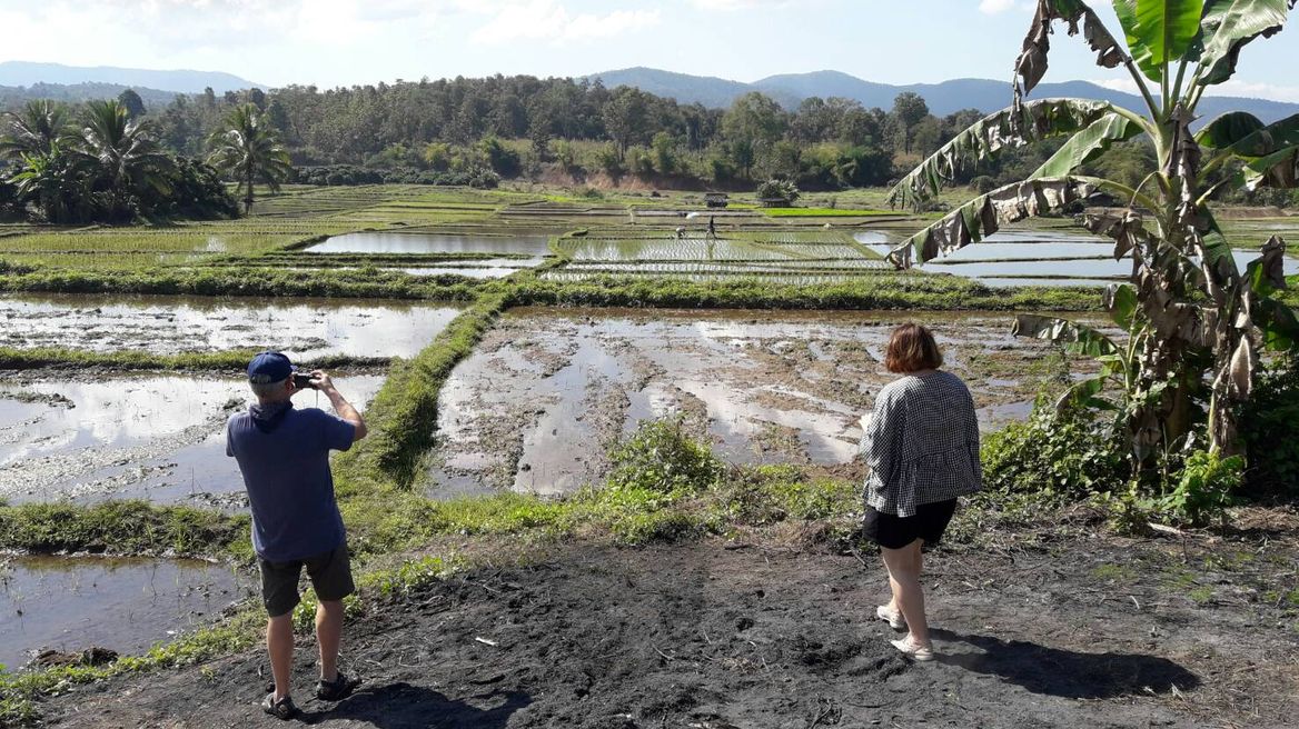 LOCAL RICE FIELD ON THE WAY