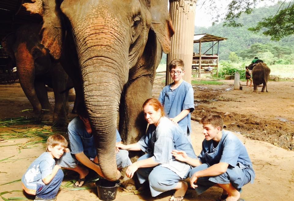 Ethical Elephant Day Care in Chiang Mai