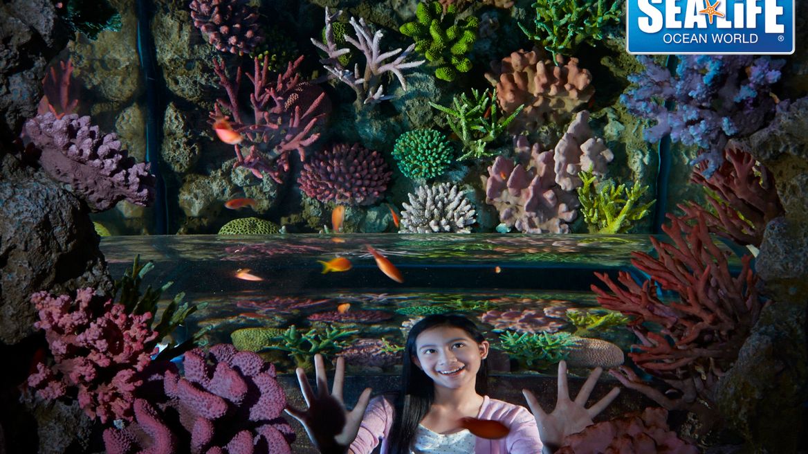 Coral Reef