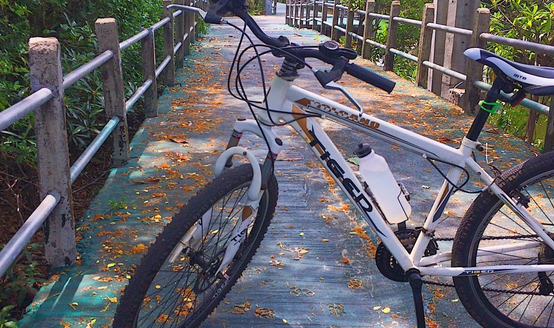 Bang Krachao Bike Tour