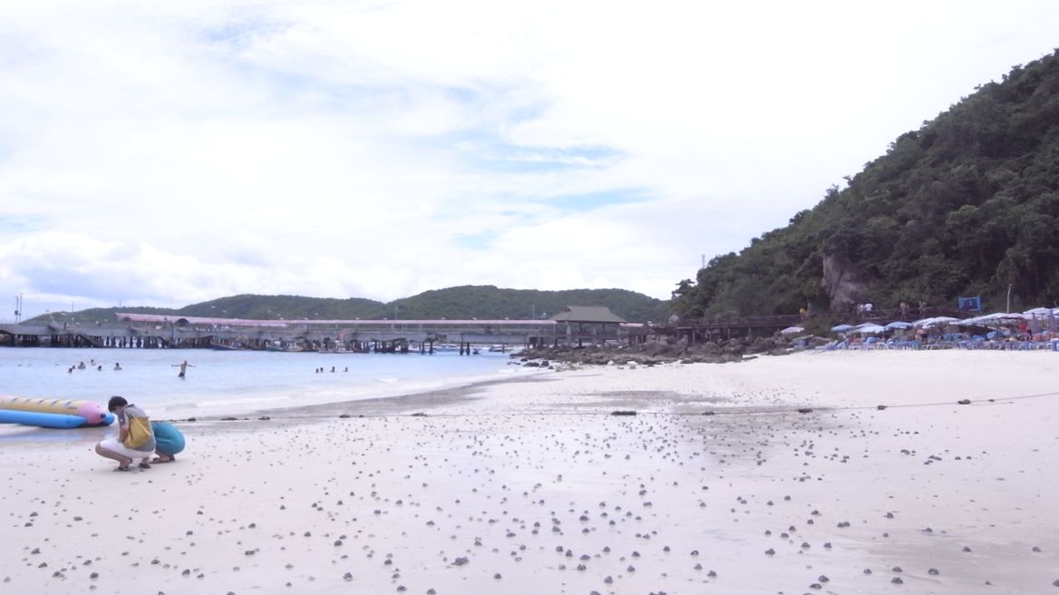 koh Larn (coral island)
