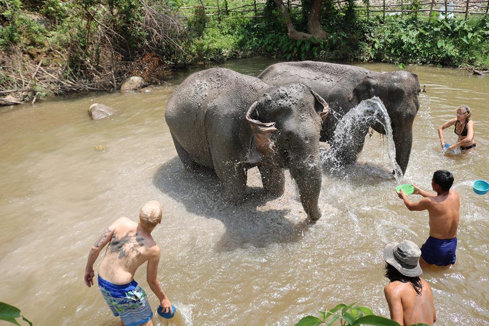 Elephant Park