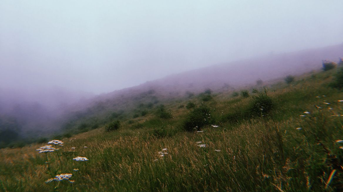 Alpine Field with foggy