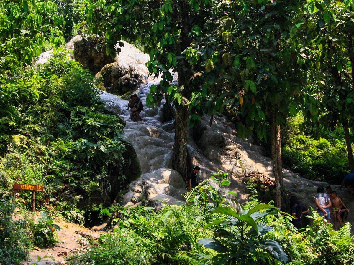 Private Bua Tong Sticky Waterfalls Tours in Chiang Mai