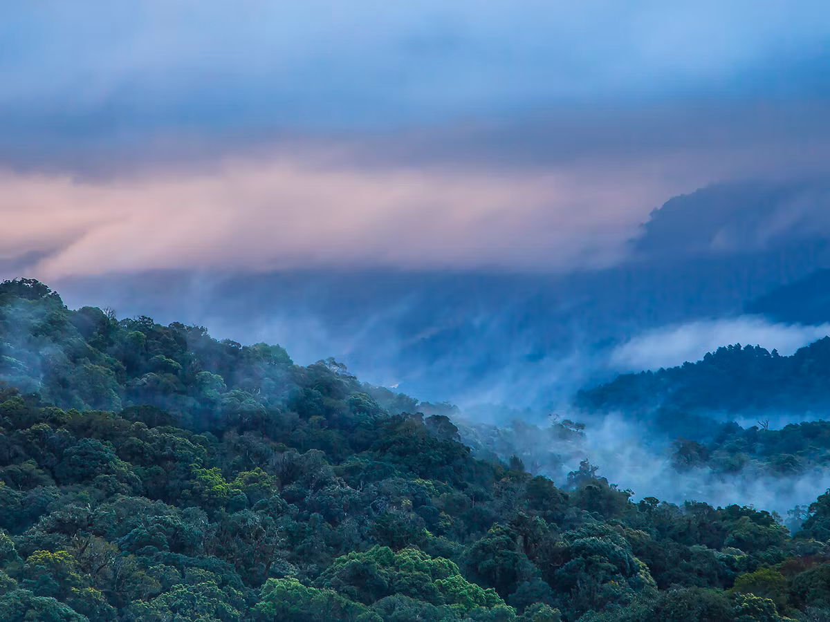 doi inthanon national park chiang mai thailand