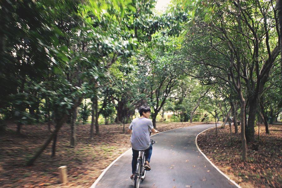 Cycling at Bang Krachao