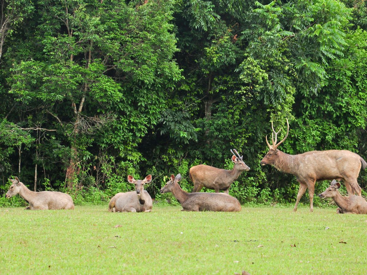 Nakhon Ratchasima Selected Local Experiences