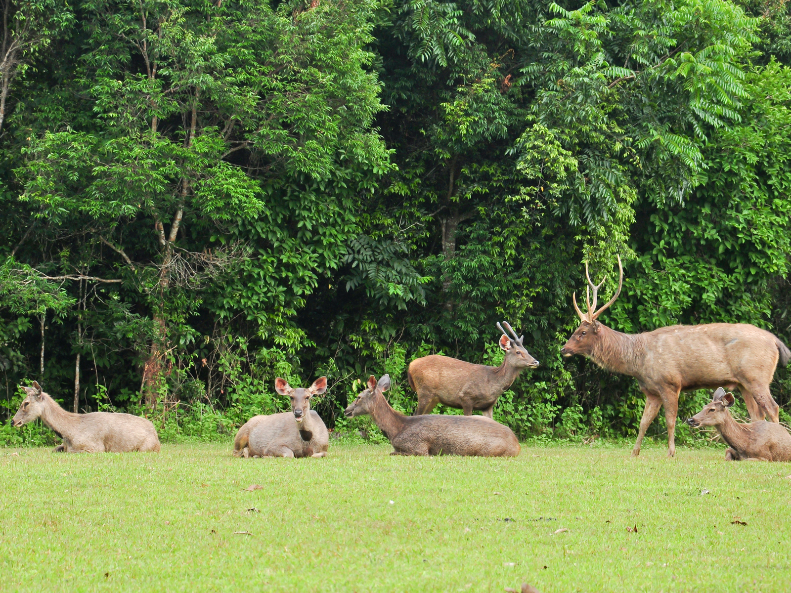 Nakhon Ratchasima (Korat)