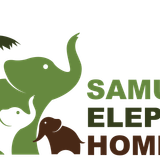 samui e.