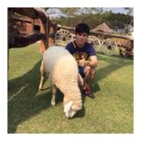 Teerapong P.