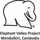 Elephant Valley P.