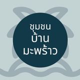 Samui C.