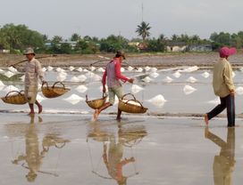 Kampot Highlights Tour (Morning) 
