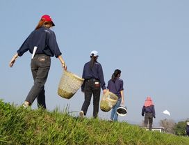 The Wholesome on Tai Trip for the New Local Life.
