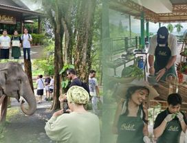 Fun Thai Cooking Class & Nature Escape