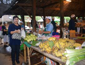 Clean, Organic & Local: Experience Chiang Mai Like You've Never Before 