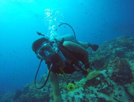 Koh Tao: A Small Paradise on Earth 