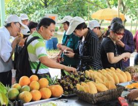 All You Can Eat: Tasting Thai Fruits Fresh from the Farm! 