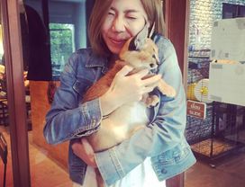 Cat Cafe Tour!