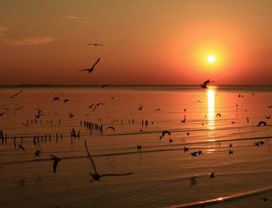 Iconic landmarks of Samut Prakarn province