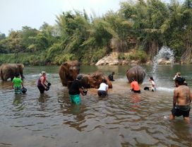 Ethical Tourism to the Elephant's Home in Kanchanaburi (Day Trip from Bangkok)