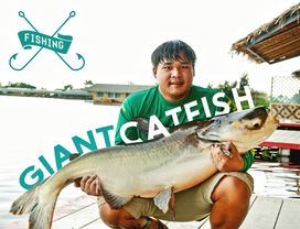 Catch of a Lifetime: Fishing for Giant Catfish and Carps