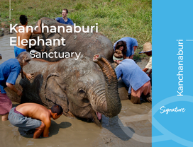 Elephant Sanctuary & Historical Death Railway 