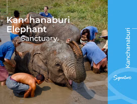 Elephant Sanctuary & Historical Death Railway 