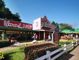 Khao Yai from Bangkok: Relaxing Nature Tour of Khao Yai National Park 