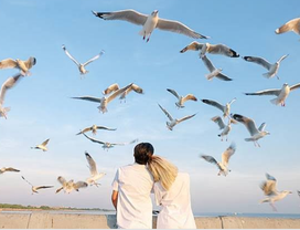 Samut Prakan from BKK: Feed Seagulls & Join Floating Temple Fair