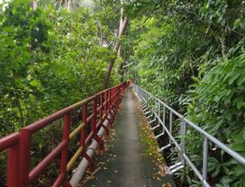 Exploring Bangkok's Green Lungs on a Bike and Taste Local Food at Floating Market