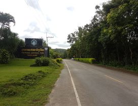 Visit a Dinosaur Museum & National Park in a Day in Khon Kaen
