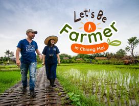 Let's Be a Farmer, Experience the Local Farming in Chiang Mai