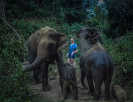 Chiang Mai: Ethical Elephant Care & Coffee Workshop in Karen Hill Tribe