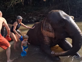 Private Elephant Experience 