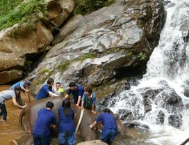 Elephant Sanctuary & Zip Lining in Chiang Mai