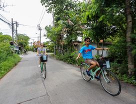 See the Green Side of Bangkok on this Bike Tour of Bang Kra Jao 