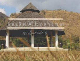 Fall in Love at Roses for Half a Day in Khao Yai 