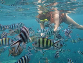 Koh Tao Snorkeling & Fishing 