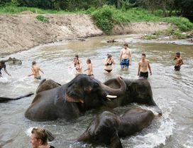 Chiang Mai Tour: Ethical Elephant Sanctuary, Hiking & Grand Canyon Chiang Mai