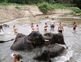 Chiang Mai Tour: Ethical Elephant Sanctuary, Hiking & Grand Canyon Chiang Mai