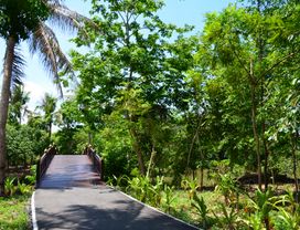 Cycling in Wonderful Park & Tasting Local Food at a Floating Market