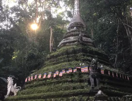 Explore Doi Suthep & Wat Pha Lat