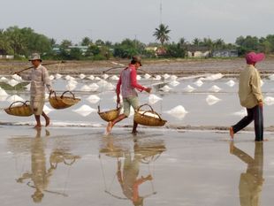 Kampot Highlights Tour (Morning) 