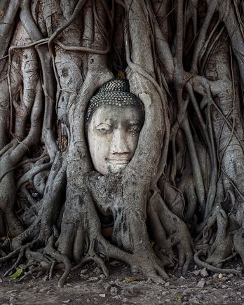 Wat Mahathat 